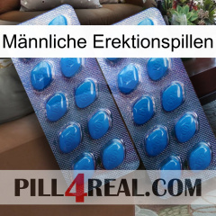 Männliche Erektionspillen viagra2